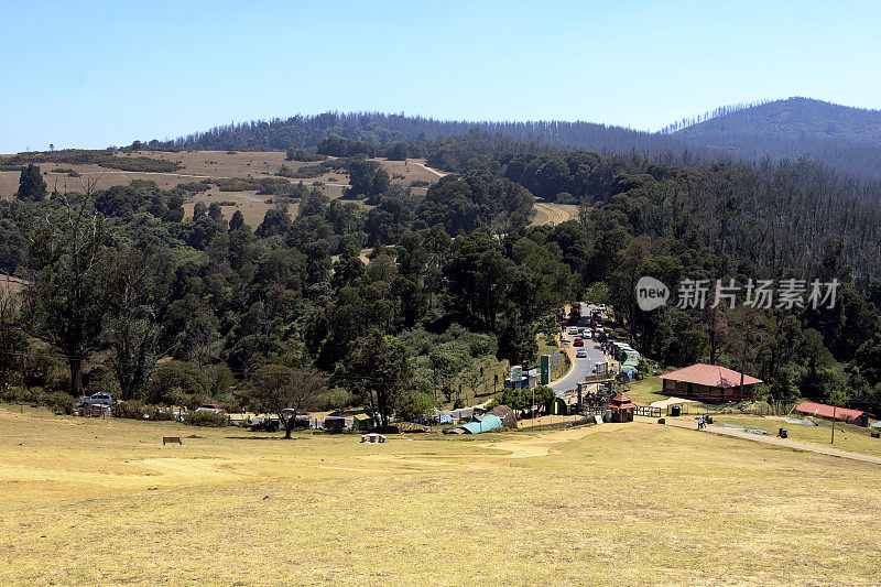 Pagalkod Mund, Ooty，泰米尔纳德邦春天美丽的风景